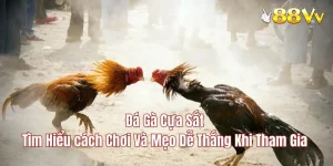 đá gà cựa sắt