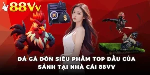 đá gà đòn